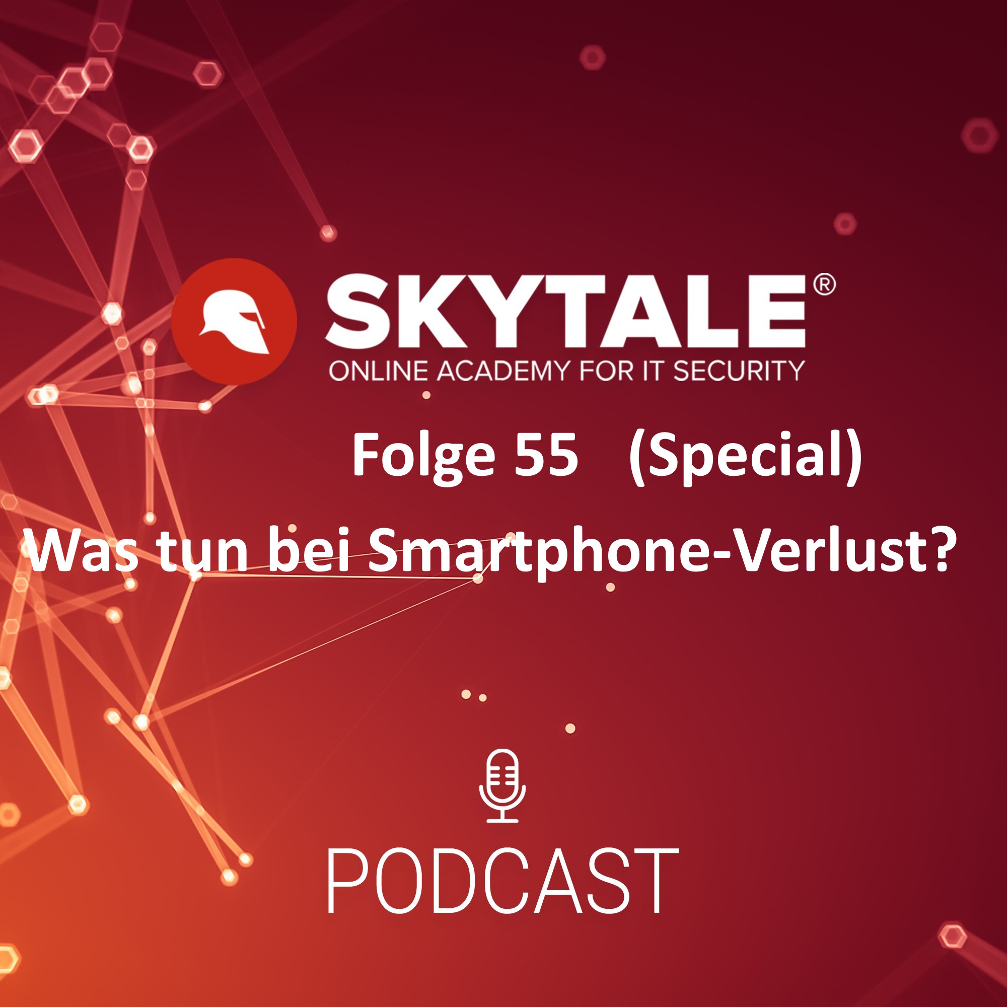 Skytale Online Akademie für IT-Sicherheit