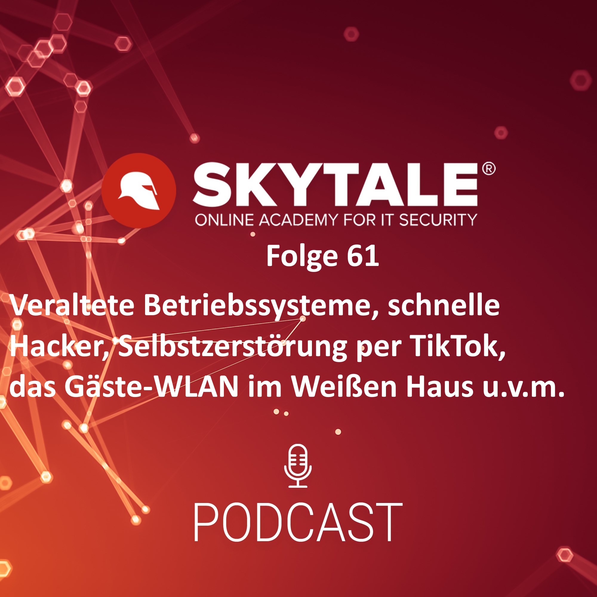 Skytale Online Akademie für IT-Sicherheit