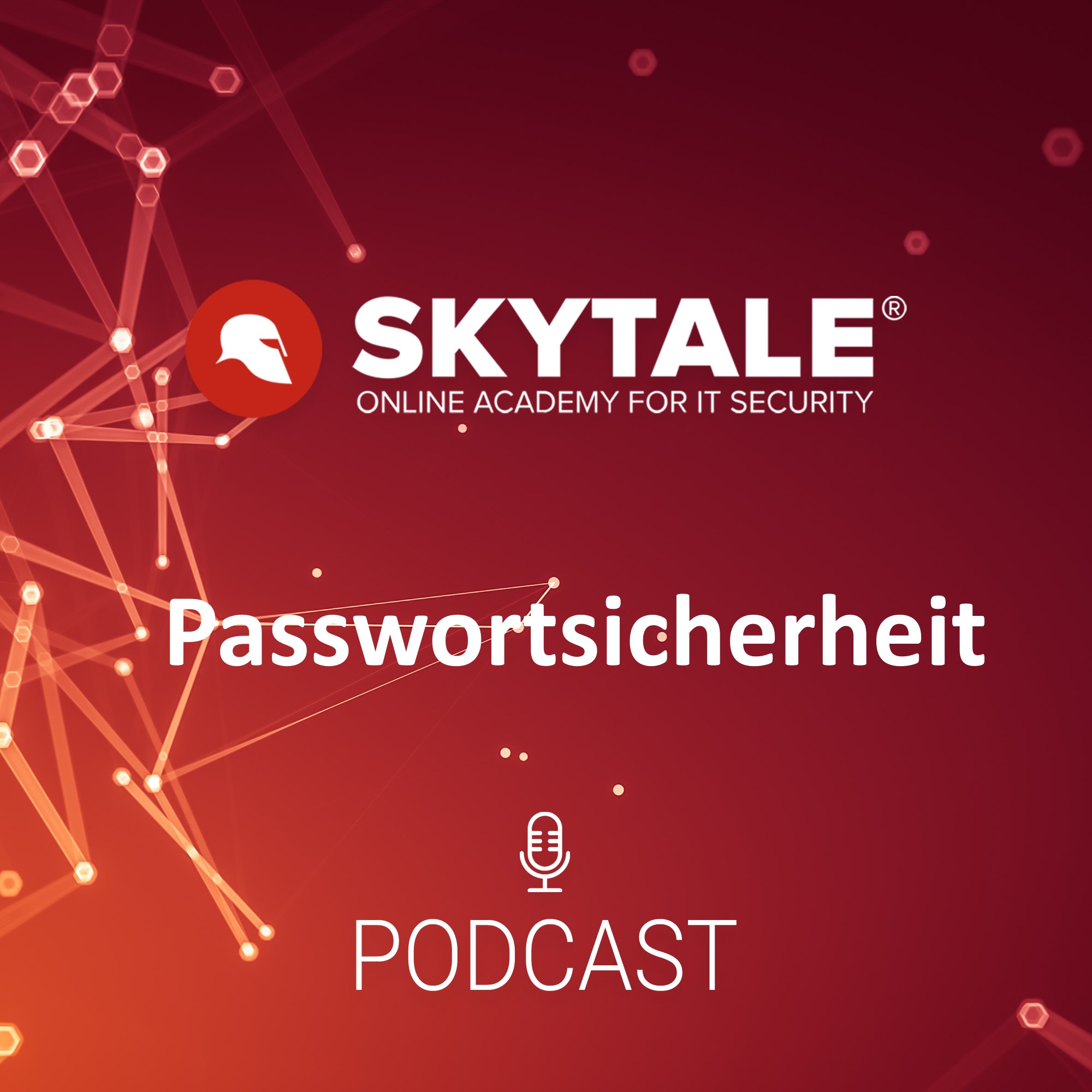 Skytale Online Akademie für IT-Sicherheit