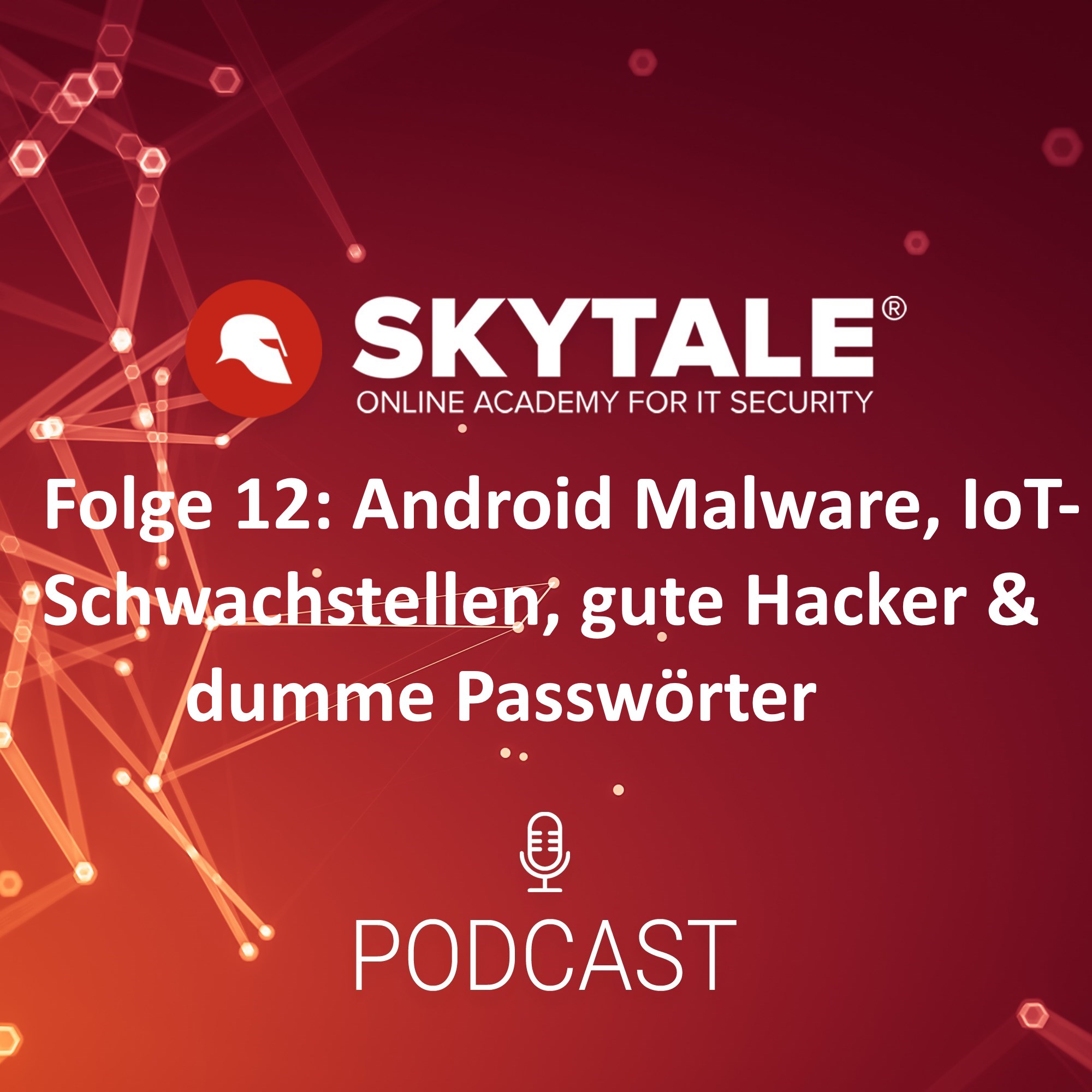 Skytale Online Akademie für IT-Sicherheit