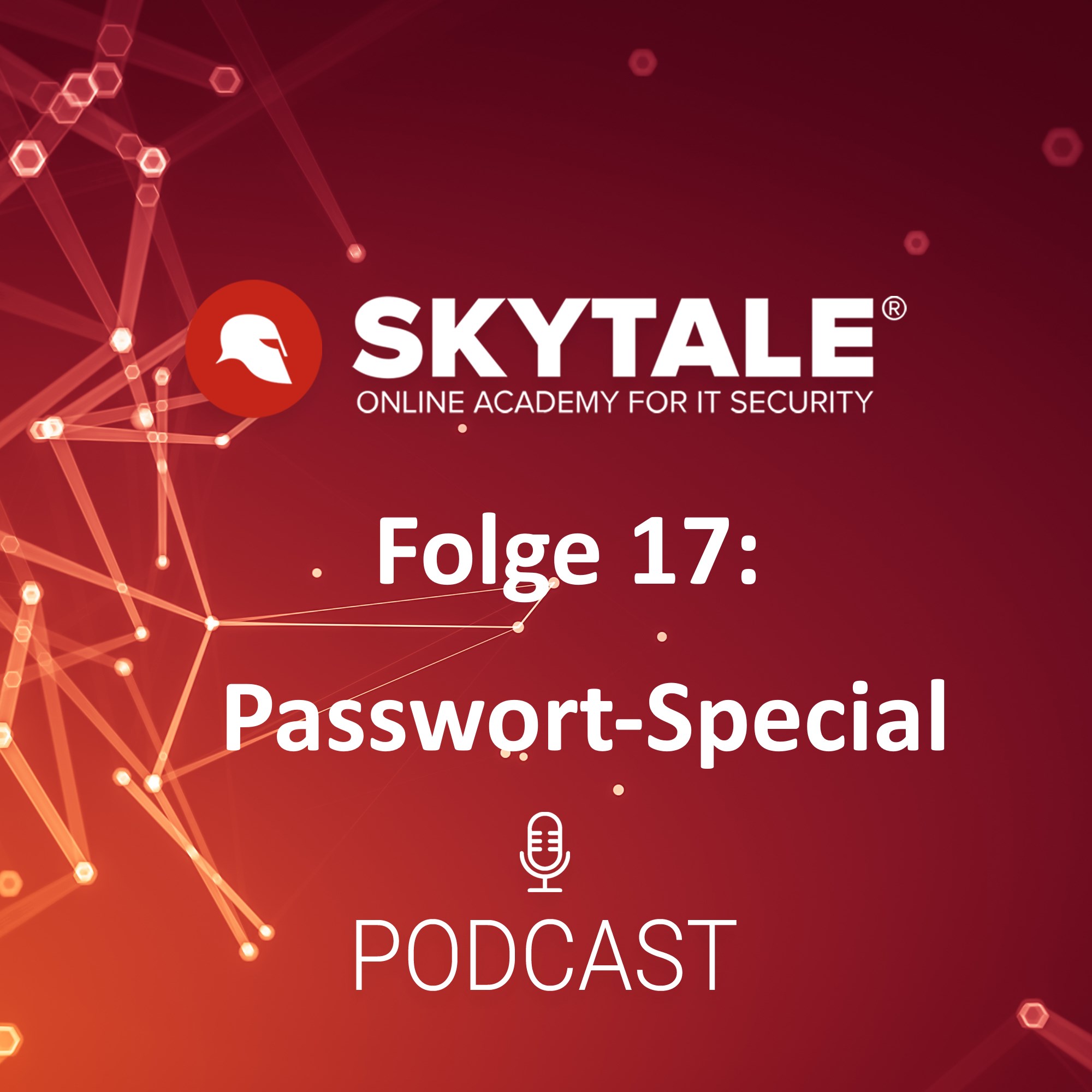 Skytale Online Akademie für IT-Sicherheit